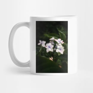 Tea of Heaven, Hydrangea Serrata Mug